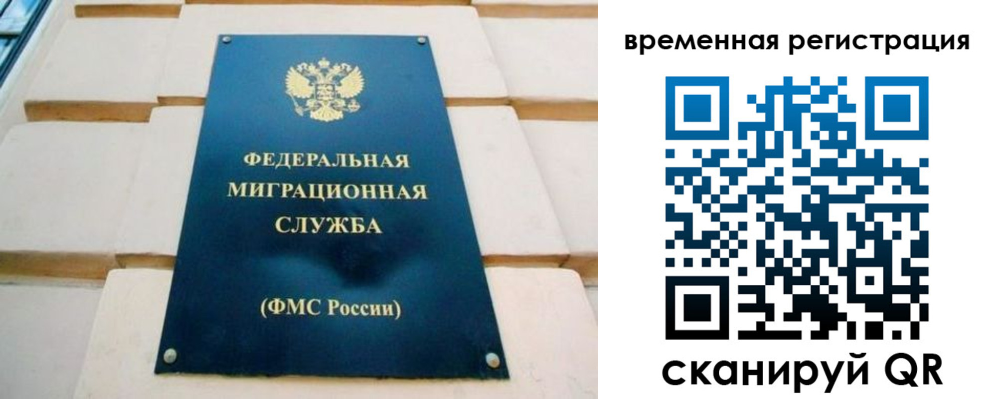 прописка гарантия в Ясногорске